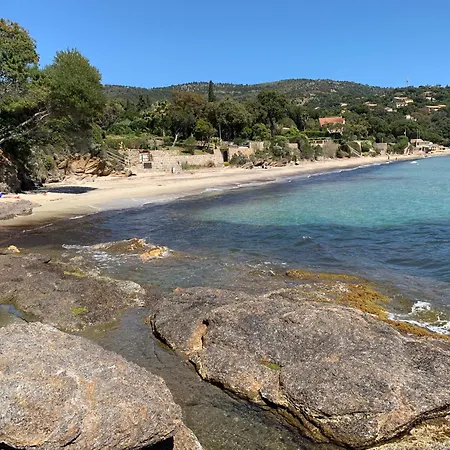 - Le Paradou