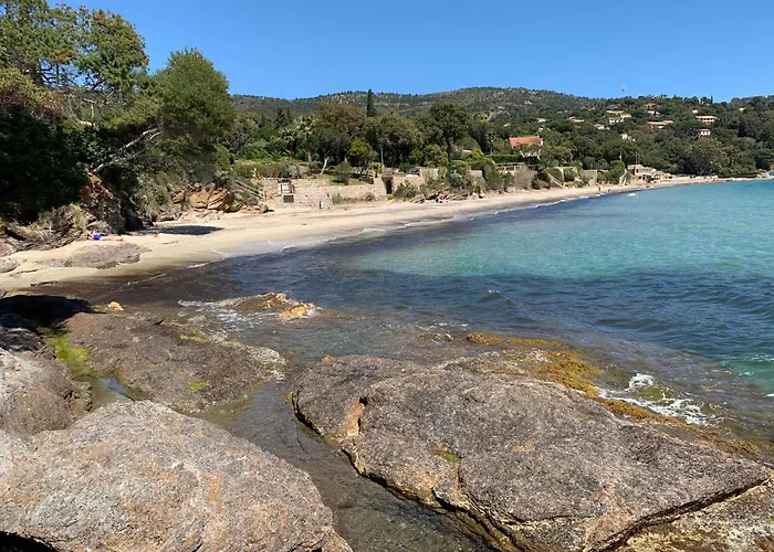 - Le Paradou